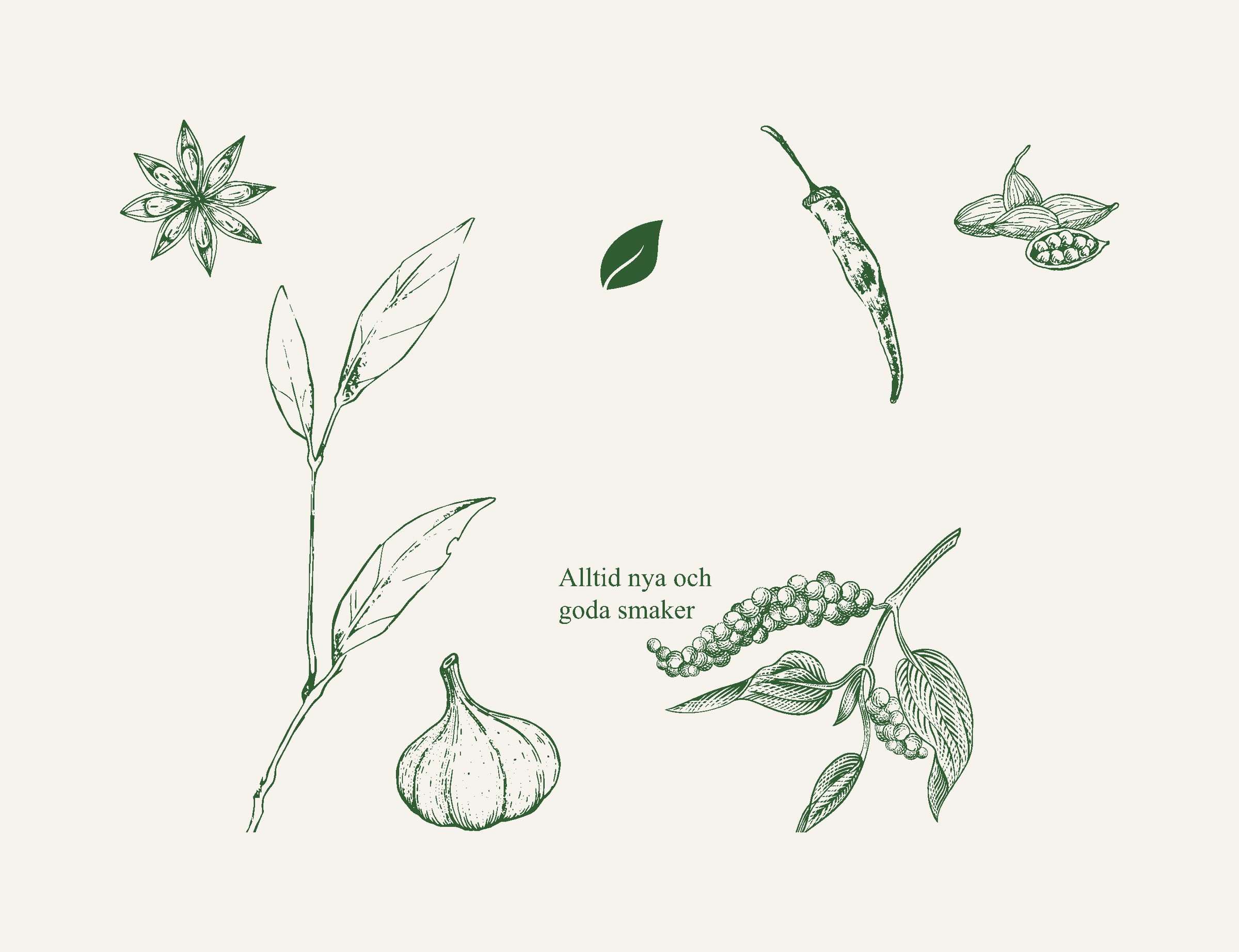 The hand-drawn illustrations of the Gröna Bladet spice bag: star anise, bay leaf, garlic, chilli, cardamom and pepper vine