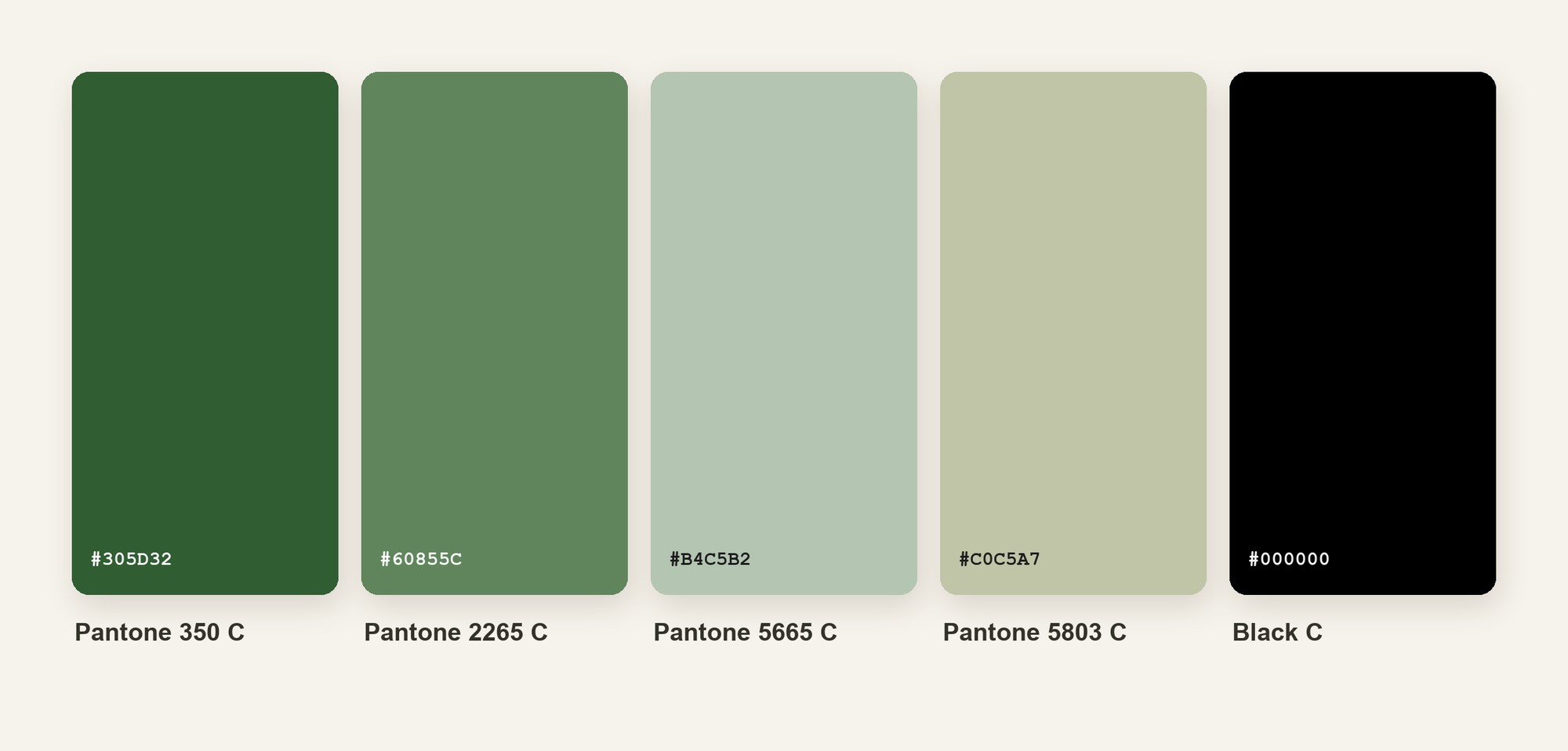 The Gröna Bladet spice packaging Pantone palette: 350 C, 2265 C, 5665 C, 5803 C and Black C