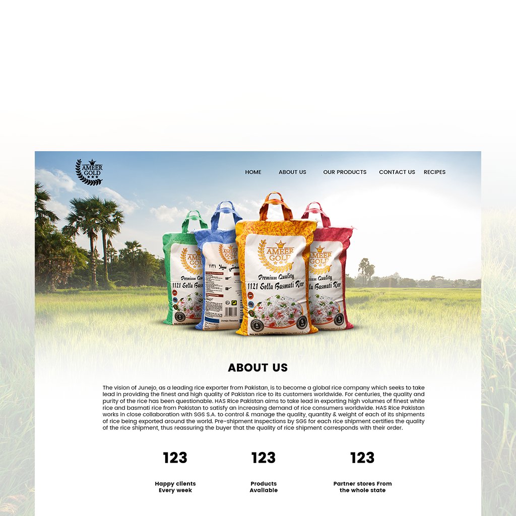 The Ameer Gold About page (mockup)